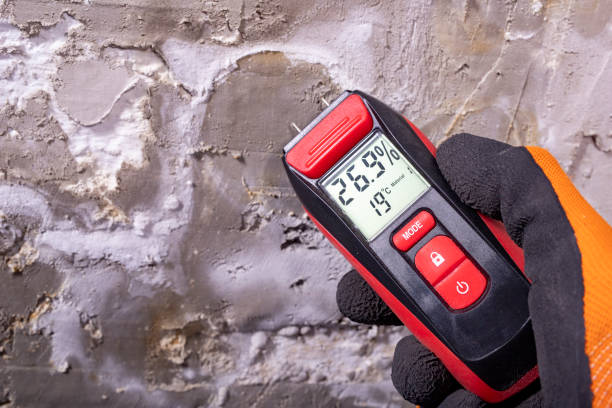 Best Emergency Mold Removal  in Buna, TX
